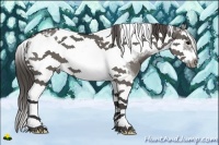 Horse Color:Grullo Sabino Splash Tobiano Frame Appaloosa
