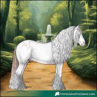 Horse Color:Bay Dun Splash Appaloosa Rabicano 