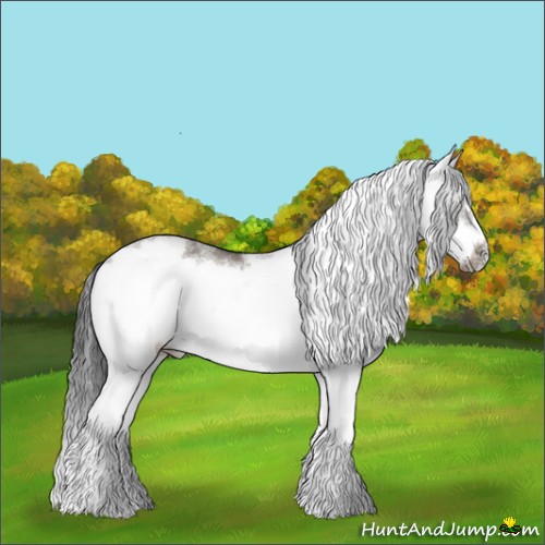 Horse Color:Grullo Sabino Splash Frame Rabicano 