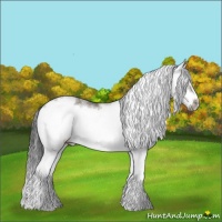 Horse Color:Grullo Sabino Splash Frame Rabicano
