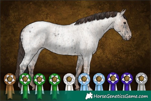 Horse Color:Blue Ice Roan  and Classic Champagne Ice Roan 