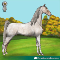Horse Color:Gray Silver Classic Cream Champagne Ice Roan Tobiano and Gray Silver Classic Champagne Ice Roan Tobiano