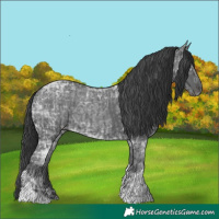 Horse Color:Black Ice Tobiano  and Blue Ice Roan 