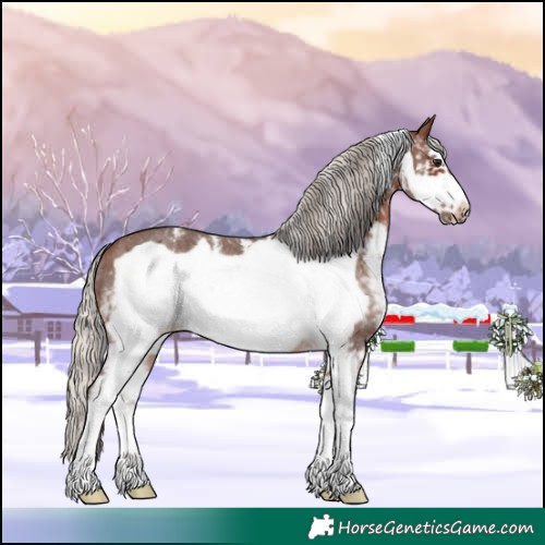 Horse Color:Silver Brown Sabino Frame Rabicano 