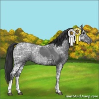 Horse Color:Blue Ice Roan  and Blue Ice Roan 