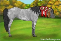 Horse Color:Blue Ice Roan  and Blue Ice Roan Frame 
