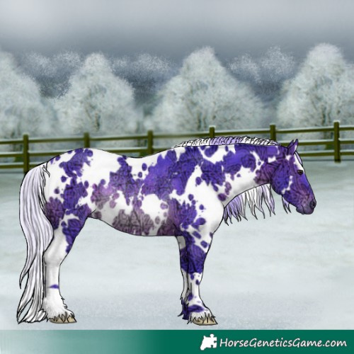 Horse Color:Watercolor White Spotted Silver Brown Ice Rabicano 