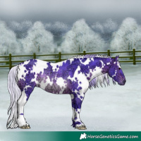 Horse Color:Watercolor White Spotted Silver Brown Ice Rabicano 