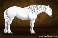 Horse Color:Gray Liver Chestnut Frame Rabicano 