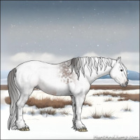 Horse Color:Gray White Spotted Bay Tobiano 