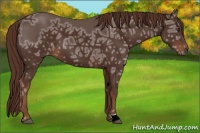Horse Color:Liver Chestnut Ice 