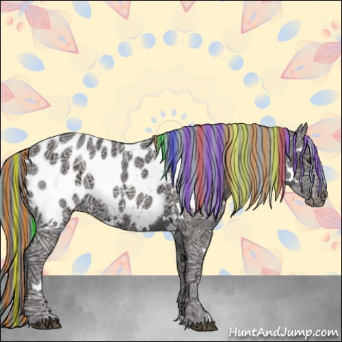 Horse Color:Painted White Spotted Liver Chestnut Ice Appaloosa 