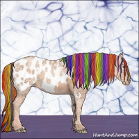 Horse Color:Painted White Spotted Gold Champagne Ice Roan Appaloosa 