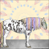 Horse Color:Painted White Spotted Gold Champagne Ice Pearl Dun Splash Tobiano Appaloosa