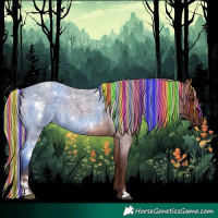 Horse Color:Painted White Spotted Silver Bay Roan Rabicano 