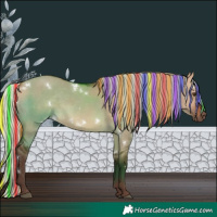 Horse Color:Painted White Spotted Silver Brown Dun Rabicano 