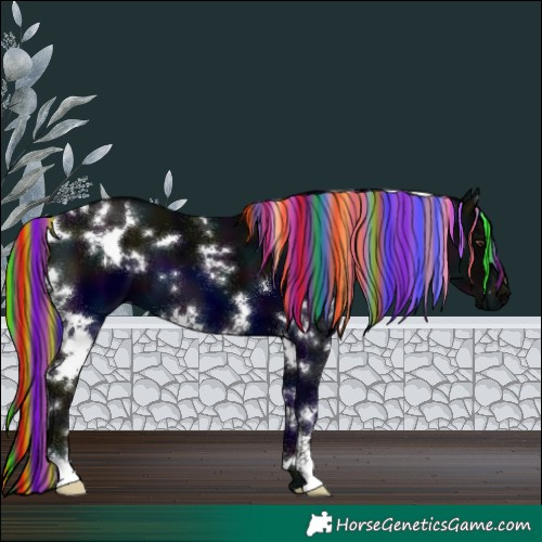 Horse Color:Painted White Spotted Midnight Liver Chestnut