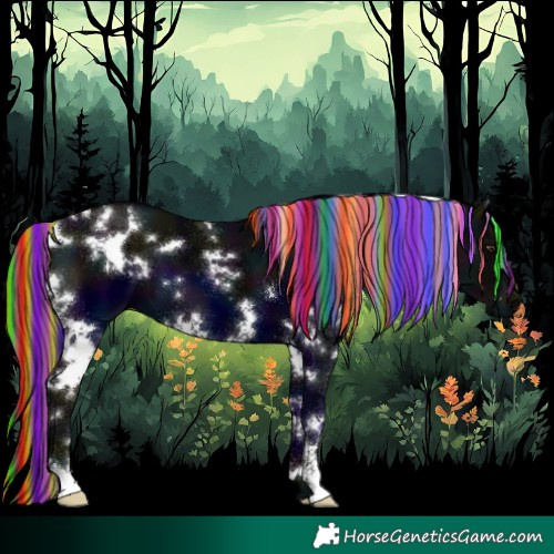 Horse Color:Painted White Spotted Midnight Liver Chestnut 