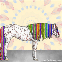 Horse Color:Painted White Spotted Silver Black Appaloosa Rabicano 