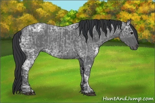 Horse Color:Blue Ice Roan  and Blue Ice Roan 