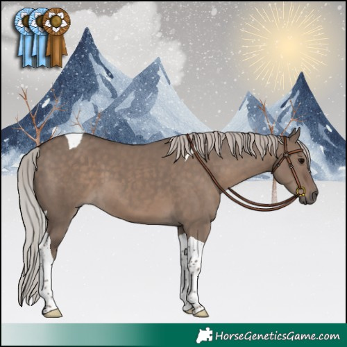 Horse Color:Silver Grullo Tobiano