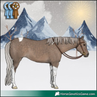 Horse Color:Silver Grullo Tobiano 