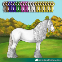 Horse Color:Palomino Dun Mushroom Tobiano Blanket 