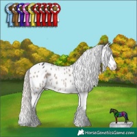 Horse Color:Liver Red Dun Mushroom Tobiano Near Leopard 