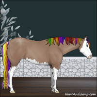 Horse Color:Painted Classic Champagne Splash Appaloosa 