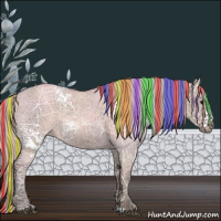 Horse Color:Painted White Spotted Silver Grullo Ice Rabicano 