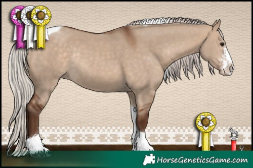 Horse Color:Silver Bay Dun Sabino Tobiano Rabicano 