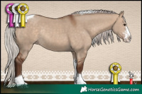 Horse Color:Silver Bay Dun Sabino Tobiano Rabicano 