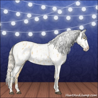 Horse Color:Palomino Appaloosa and Palomino Appaloosa Rabicano