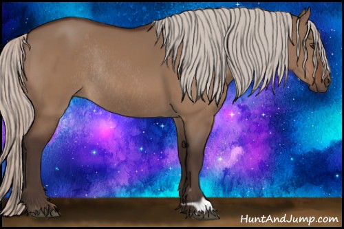 Horse Color:Silver Brown Dun Rabicano 