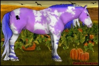 Horse Color:Watercolor Bay Splash Tobiano 