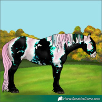 Horse Color:Watercolor White Spotted Buckskin