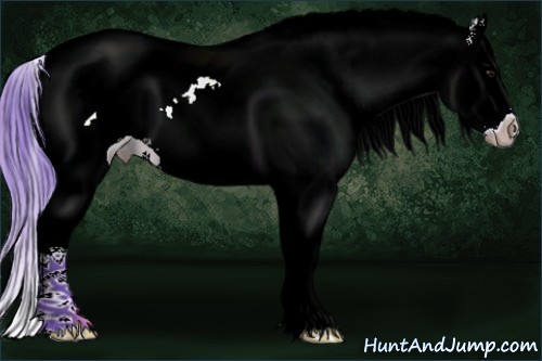 Horse Color:Watercolor White Spotted Bay Splash 