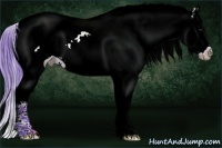 Horse Color:Watercolor White Spotted Bay Splash 