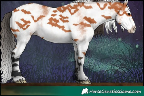 Horse Color:White Spotted Bay Splash