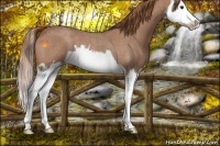 Horse Color:Red Roan Splash 