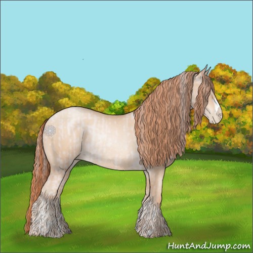Horse Color:Platinum Gold Champagne Pearl Rabicano and Sable Champagne Pearl Rabicano
