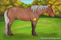 Horse Color:Silver Bay Roan 