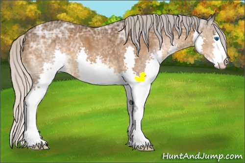 Horse Color:Silver Buckskin Ice Splash 
