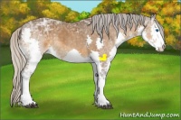 Horse Color:Silver Buckskin Ice Splash 