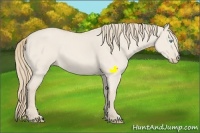 Horse Color:Smoky Creme Roan Dun 