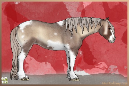 Horse Color:Silver Blue Onyx Roan Tobiano Frame 