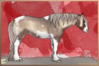 Horse Color:Silver Blue Onyx Roan Tobiano Frame 