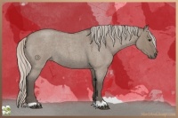 Horse Color:Silver Grullo Roan 
