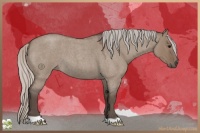 Horse Color:Silver Grullo Roan 