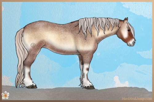 Horse Color:Silver Bay Roan Onyx 